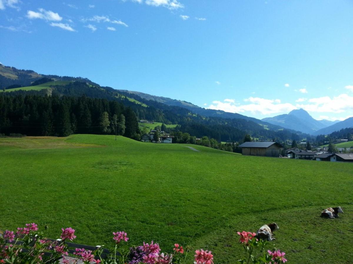 Ferienwohnung Hof Obertann Kirchberg in Tirol Exterior foto